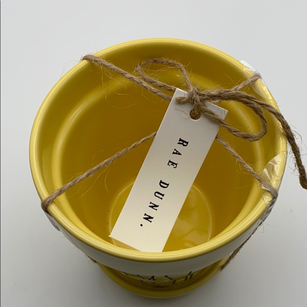 Rae Dunn “JUST HATCHED” Planter - Picture 2 of 2